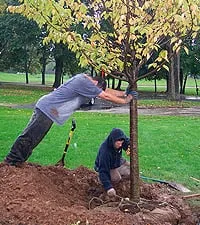 Top-rated outdoor landscaping experts serving Palm Springs, CA - Arbor Technical Services