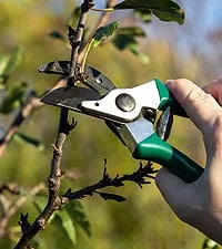 Local landscape installation in Palm Springs, CA - Arbor Technical Services