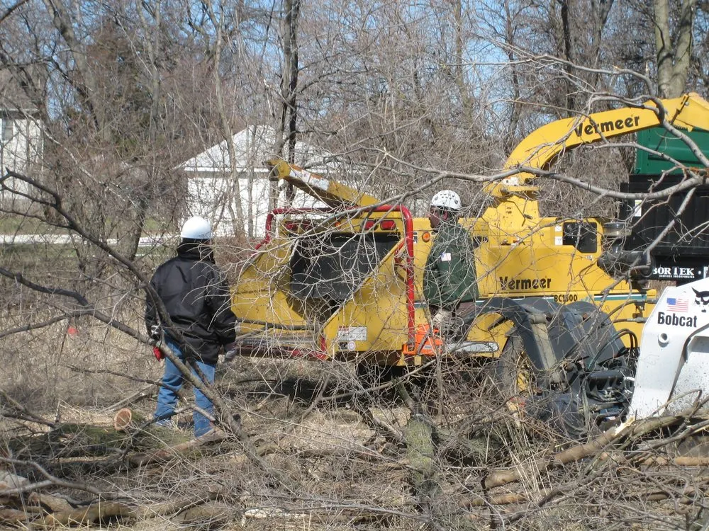 Trusted yard maintenance for outdoor upgrades in Joliet, IL by Arbor Tek Service