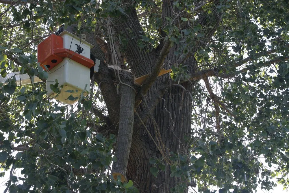 Trusted residential landscaping with custom design across Joliet, IL - Arbor Tek Service