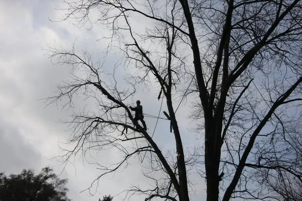 Arbor Tek Service Logo