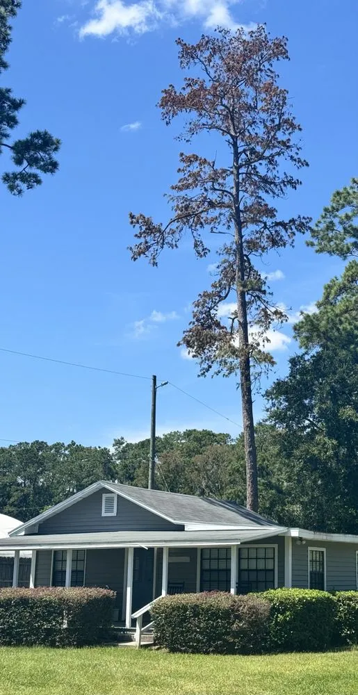 Professional landscaping services with custom design across Jacksonville, FL - Arbor Tree Service & Landscaping