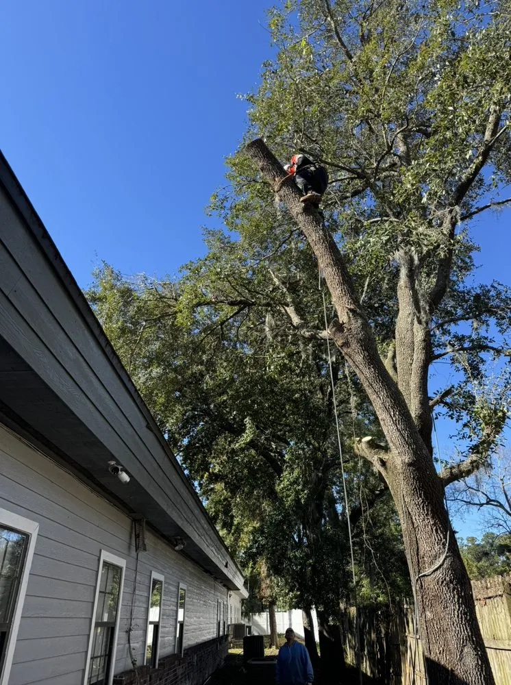 Custom garden landscaping near you across Jacksonville, FL - Arbor Tree Service & Landscaping