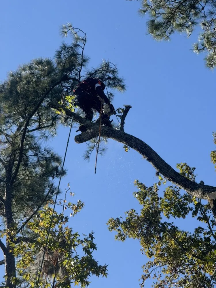 Top-rated lawn mowing service in Jacksonville, FL - Arbor Tree Service & Landscaping