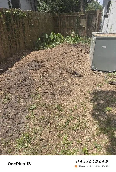 Custom yard maintenance for beautiful yards across Jacksonville, FL - Arbor Tree Service & Landscaping