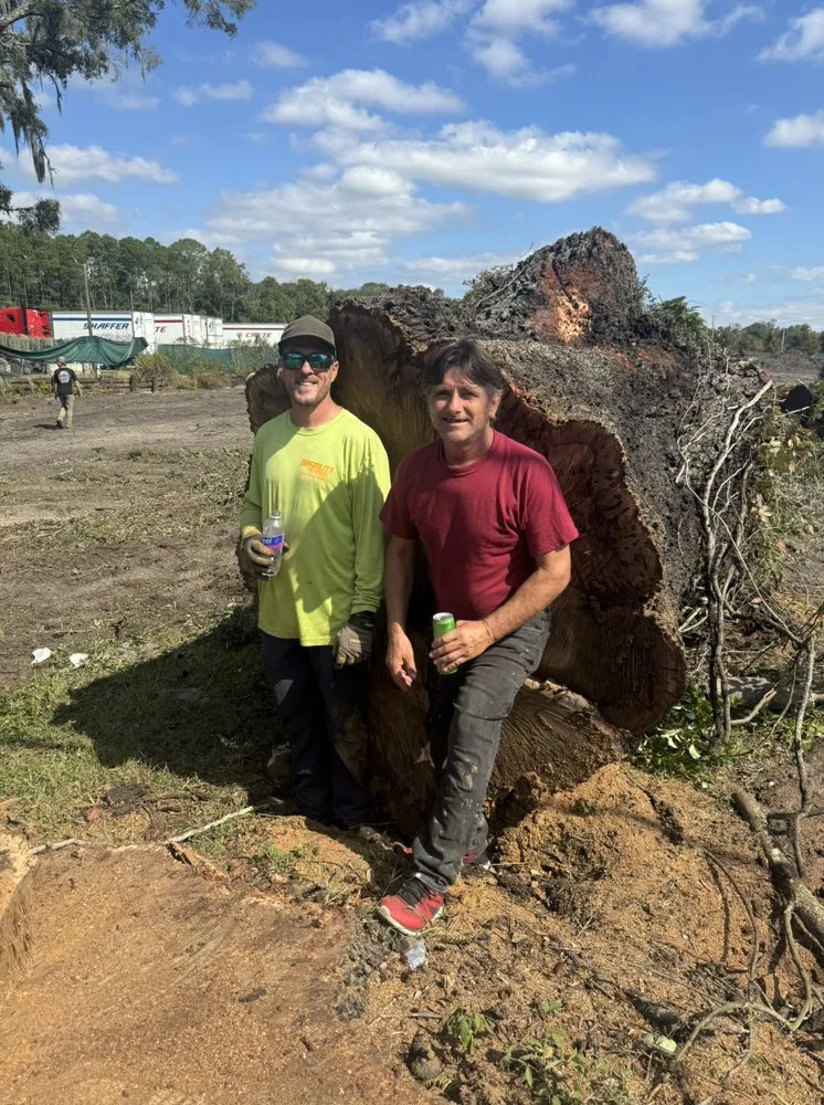 Reliable garden landscaping in Jacksonville, FL - Arbor Tree Service & Landscaping