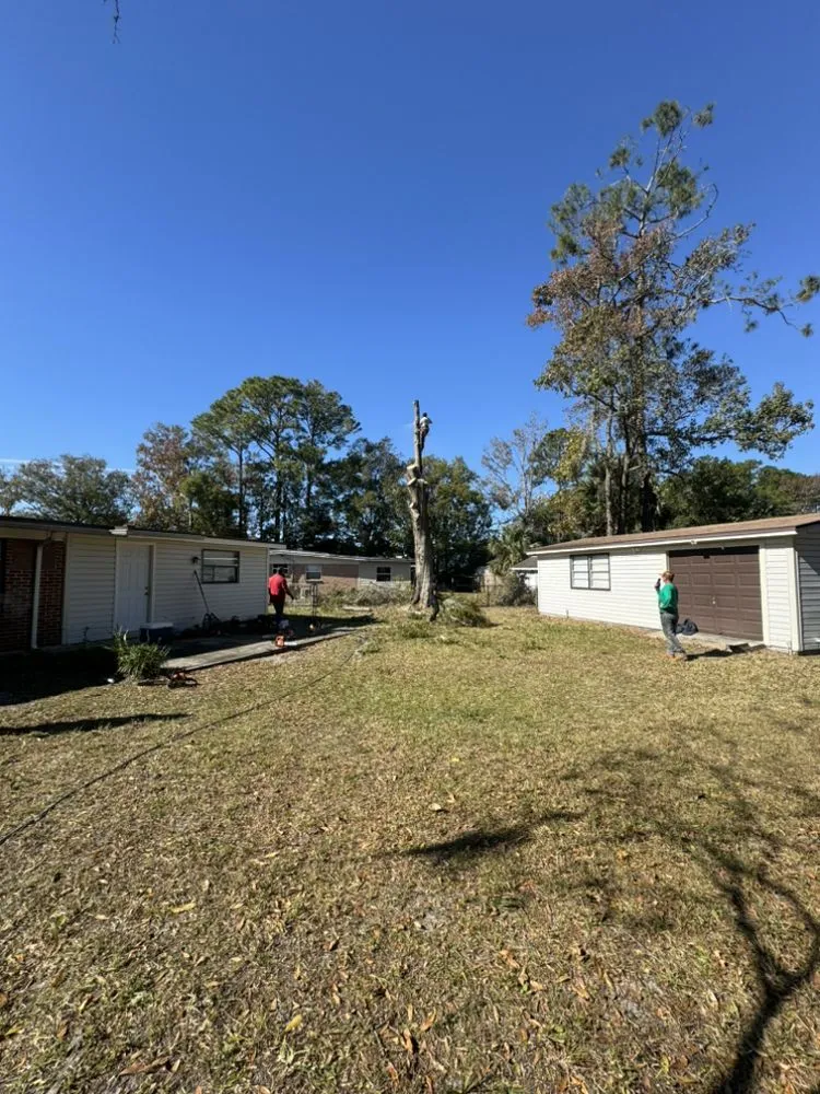 Affordable landscape installation for residential properties across Jacksonville, FL - Arbor Tree Service & Landscaping