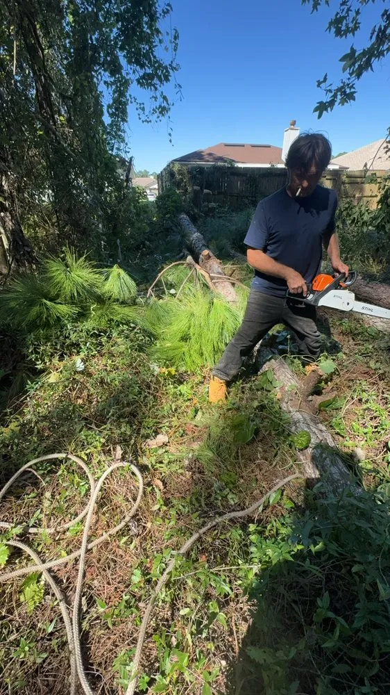 Custom outdoor landscaping experts serving Jacksonville, FL - Arbor Tree Service & Landscaping