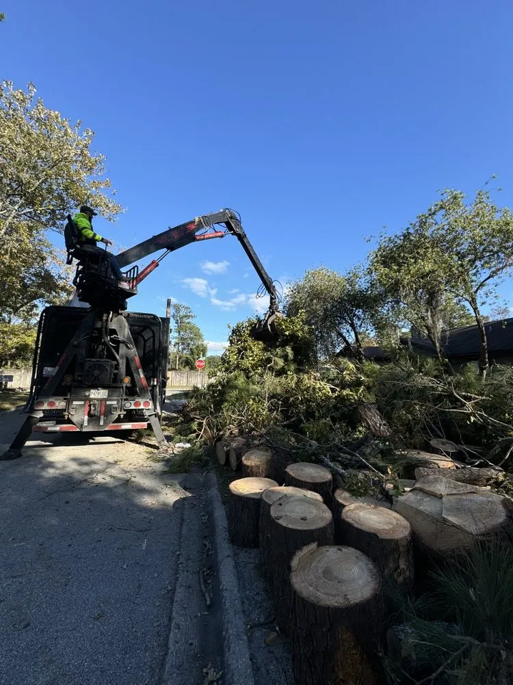 Reliable residential landscaping experts serving Jacksonville, FL - Arbor Tree Service & Landscaping