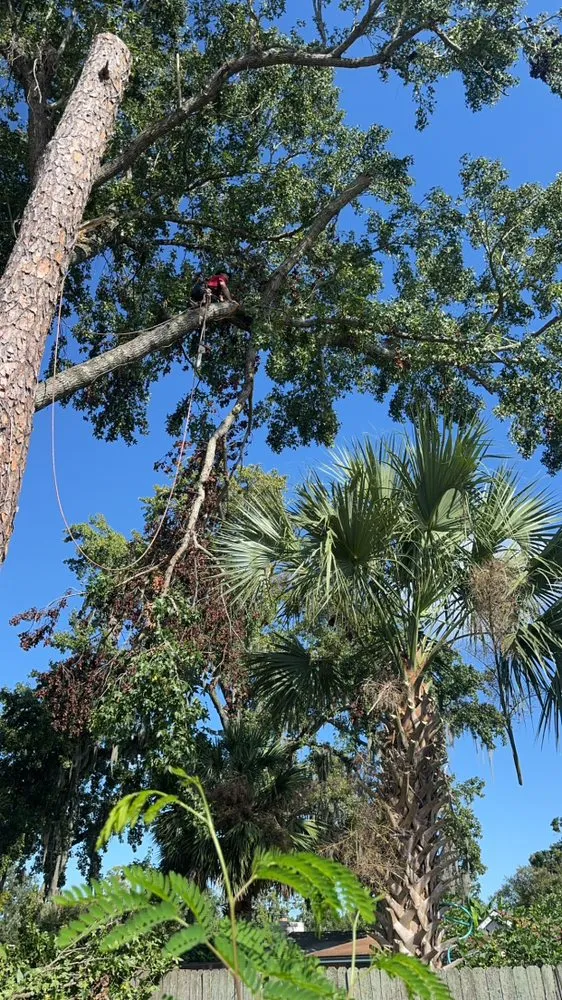 Reliable outdoor landscaping in Jacksonville, FL by Arbor Tree Service & Landscaping