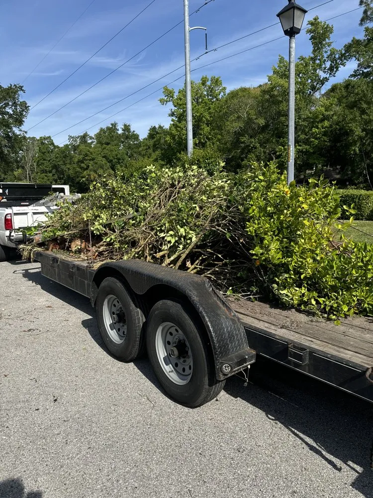 Expert landscape installation experts serving Jacksonville, FL - Arbor Tree Service & Landscaping