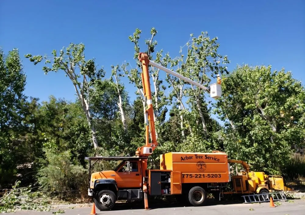 Reliable landscaping services for homes across Reno, NV - Arbor Tree Service
