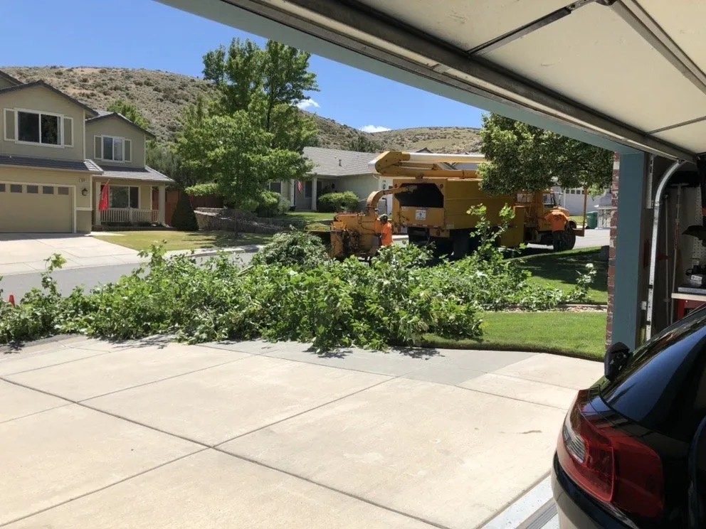 Custom outdoor landscaping in Reno, NV by Arbor Tree Service