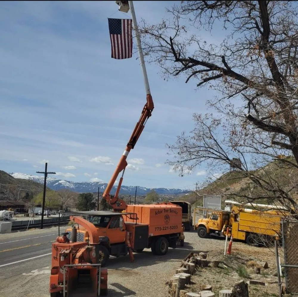 Affordable garden landscaping in Reno, NV by Arbor Tree Service