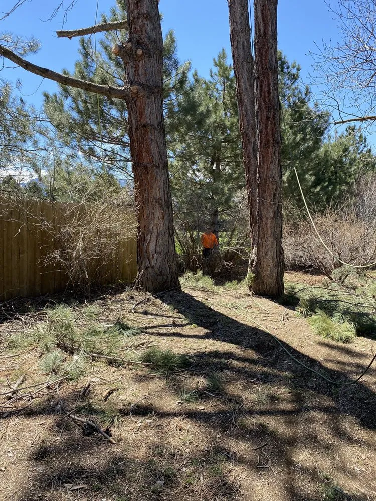 Trusted landscaping services in Taylorsville, UT - Arbor Tree Tech & Landscaping