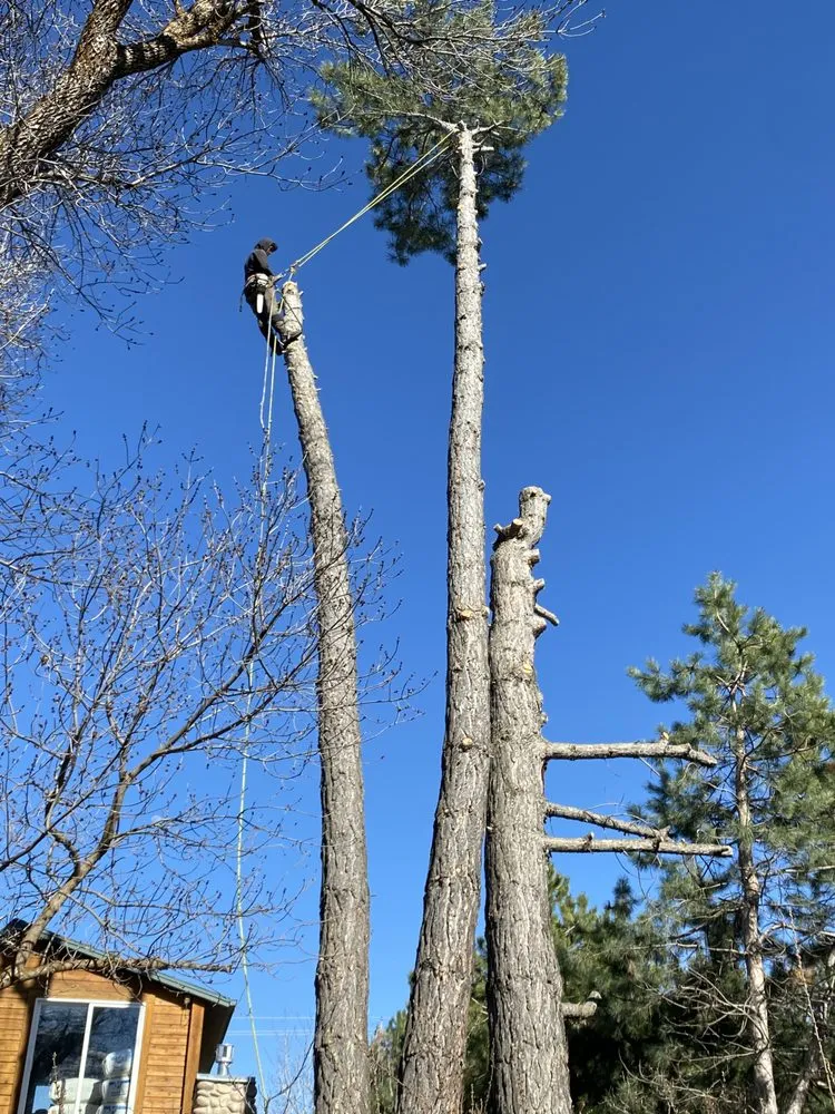 Trusted yard maintenance in Taylorsville, UT - Arbor Tree Tech & Landscaping