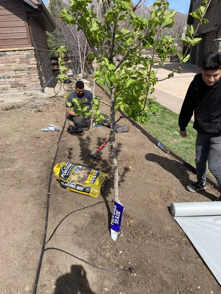 Expert outdoor landscaping in Taylorsville, UT - Arbor Tree Tech & Landscaping