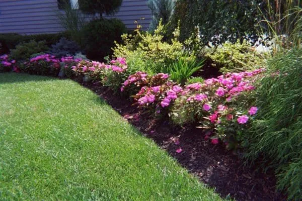 Expert landscaping services for outdoor upgrades in Marlborough, MA by Arbor-Turf Services