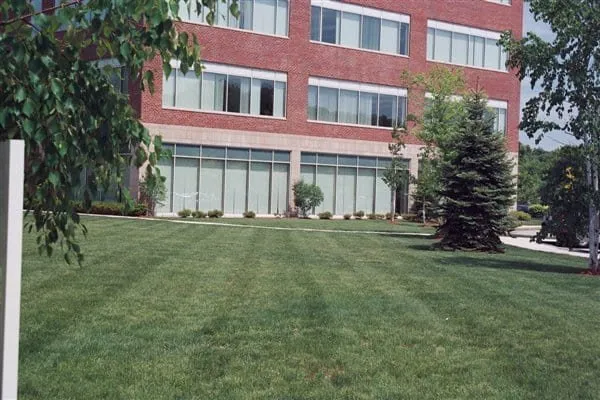 Affordable landscape design with custom design across Marlborough, MA - Arbor-Turf Services