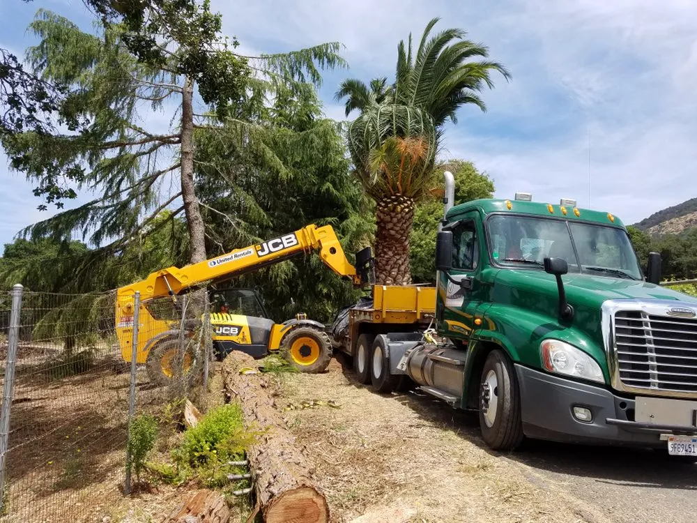 Top-rated lawn mowing service with custom design in Fairfield, CA by Arbor Unlimited