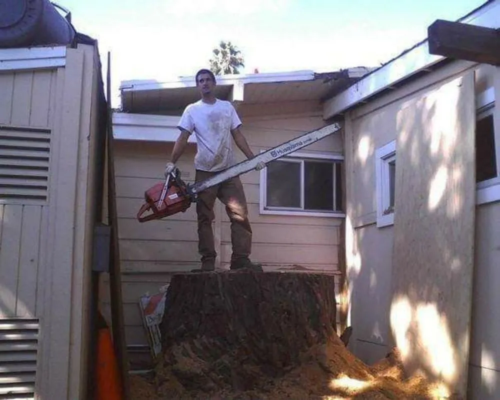 Trusted landscaping services in Fairfield, CA - Arbor Unlimited