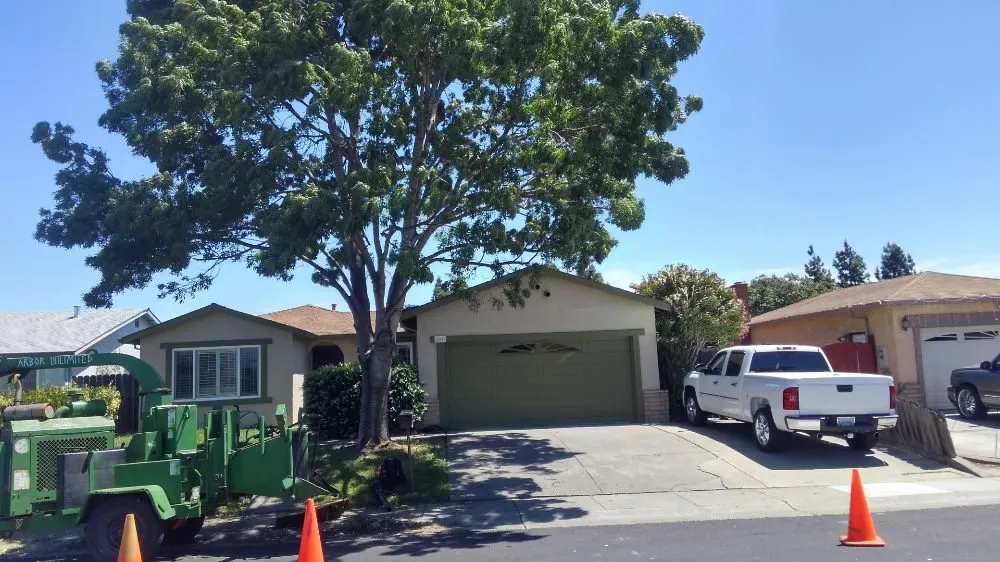 Local outdoor landscaping for outdoor upgrades across Fairfield, CA - Arbor Unlimited