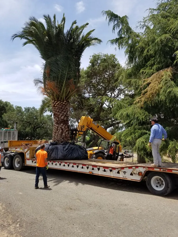 Trusted landscaping services in Fairfield, CA - Arbor Unlimited