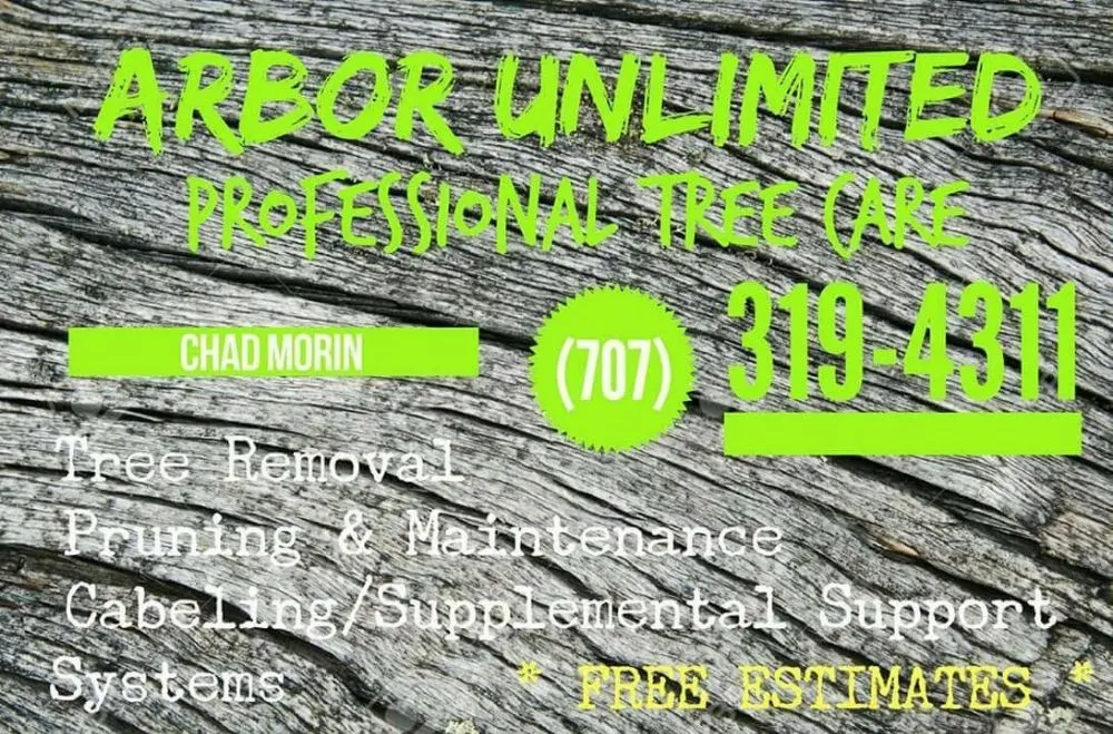 Professional outdoor landscaping for outdoor upgrades across Fairfield, CA - Arbor Unlimited