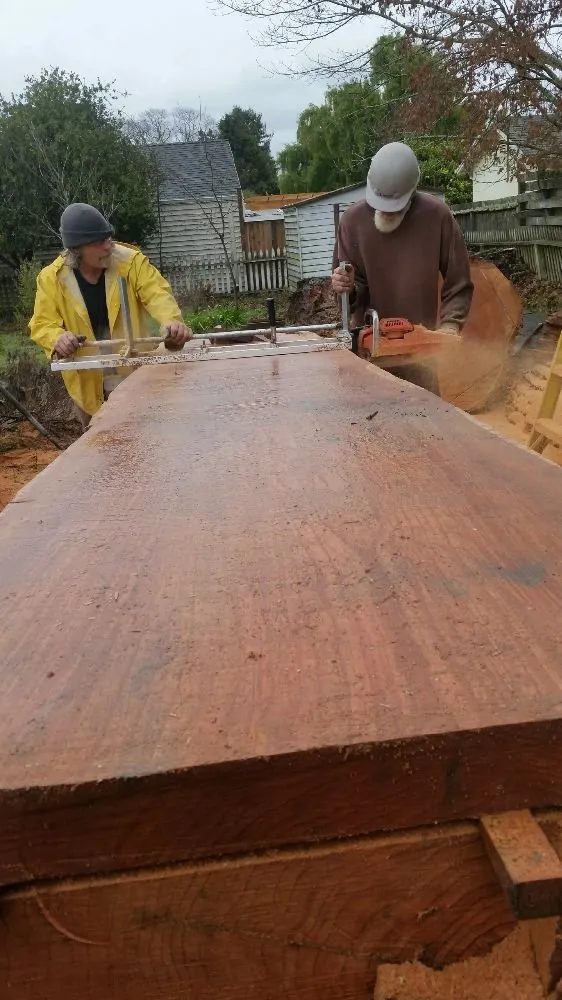 Affordable landscape design for year-round maintenance in Fairfield, CA by Arbor Unlimited