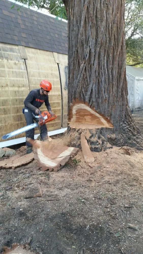 Trusted lawn mowing service experts serving Fairfield, CA - Arbor Unlimited