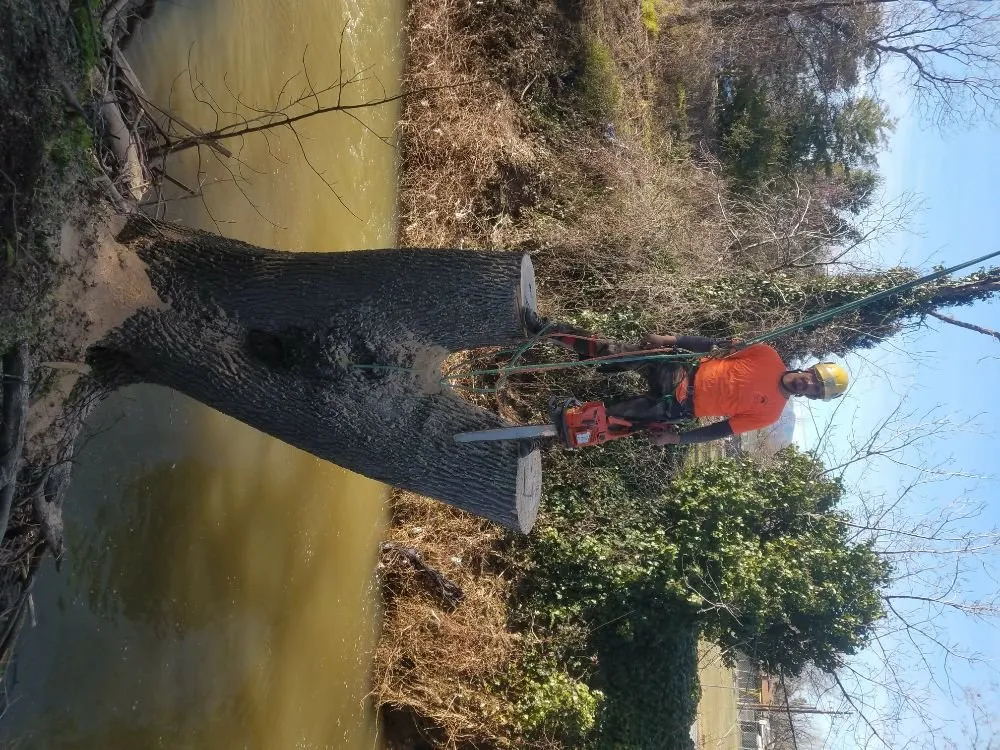 Trusted yard maintenance for residential properties across Fairfield, CA - Arbor Unlimited