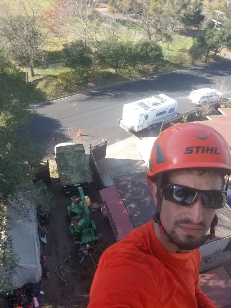 Reliable landscaping services experts serving Fairfield, CA - Arbor Unlimited