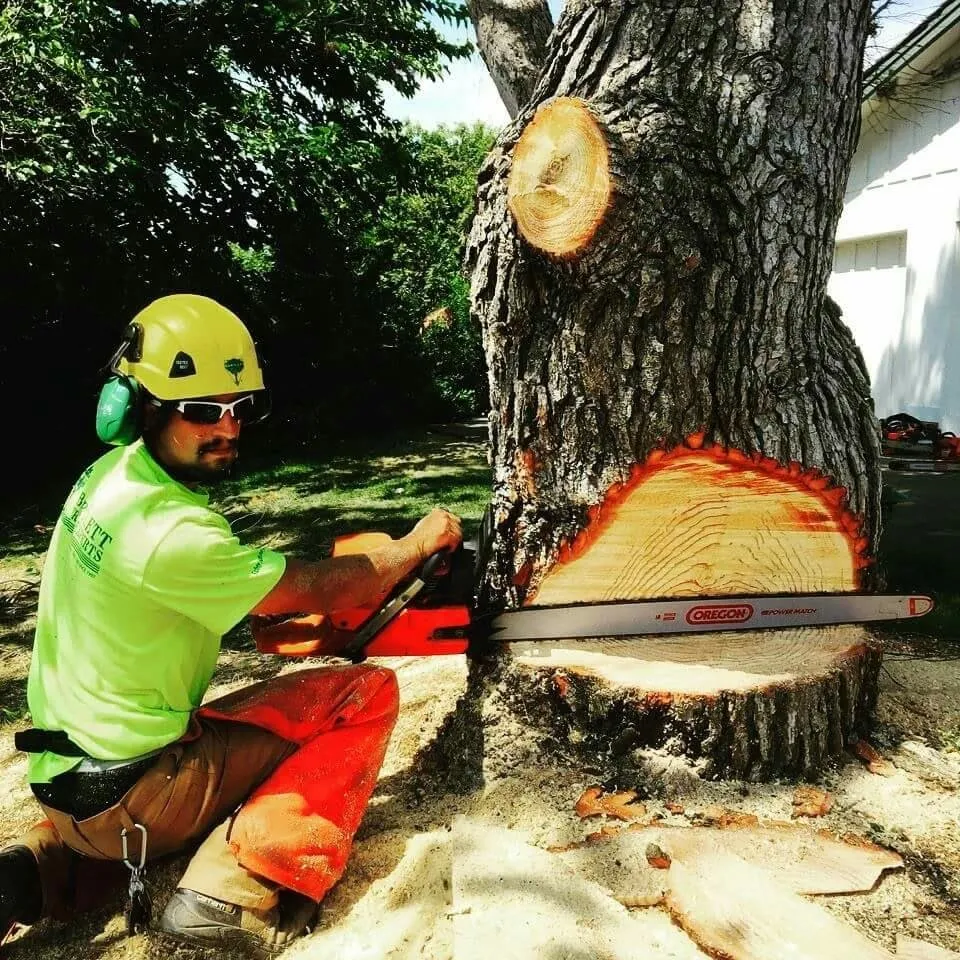 Professional lawn mowing service in Fairfield, CA - Arbor Unlimited