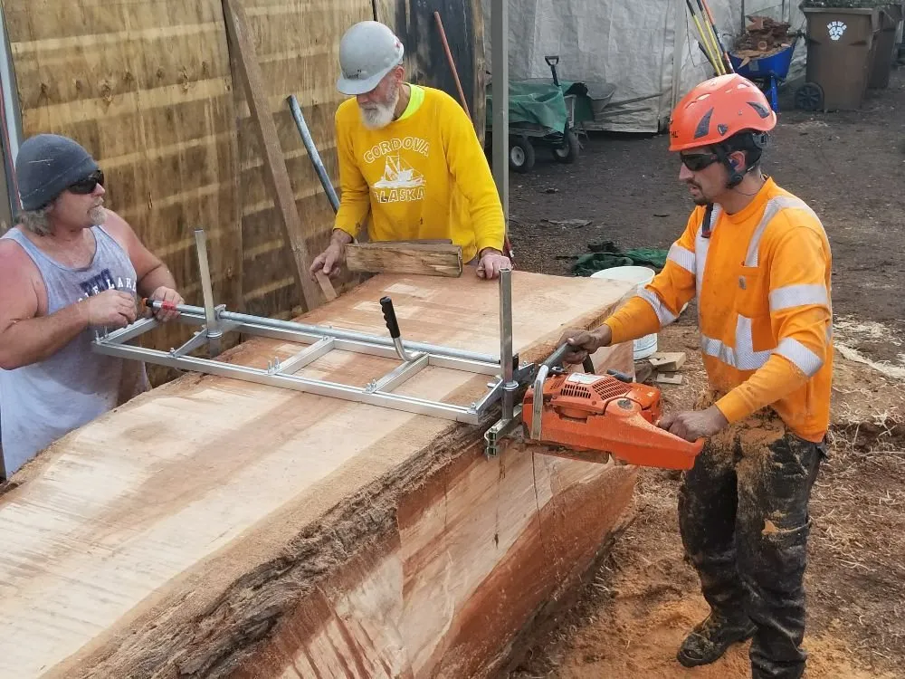 Expert yard cleanup service experts serving Fairfield, CA - Arbor Unlimited