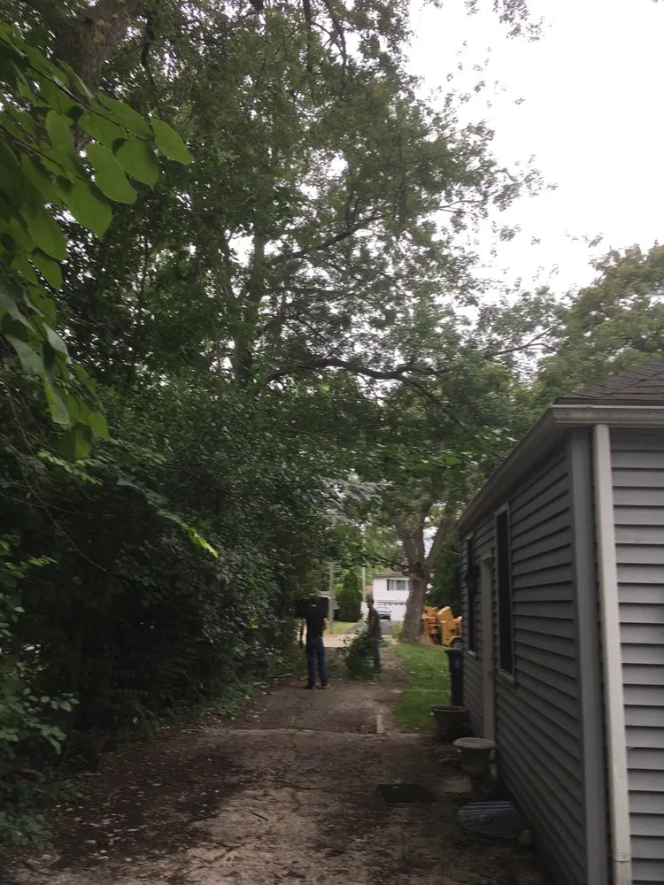 Affordable landscape installation for beautiful yards across Ann Arbor, MI - Arbor Valley Tree Service