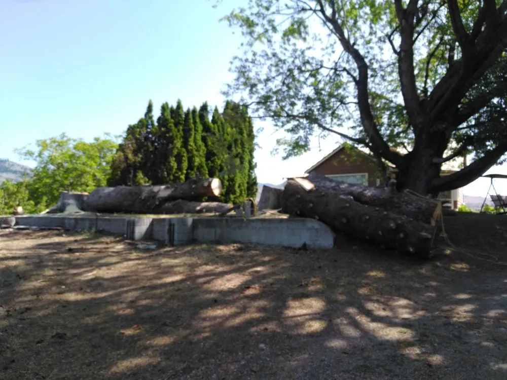 Affordable lawn mowing service experts serving East Wenatchee, WA - Arbor Valley Tree Service