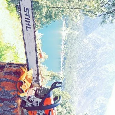 Arbor Valley Tree Service