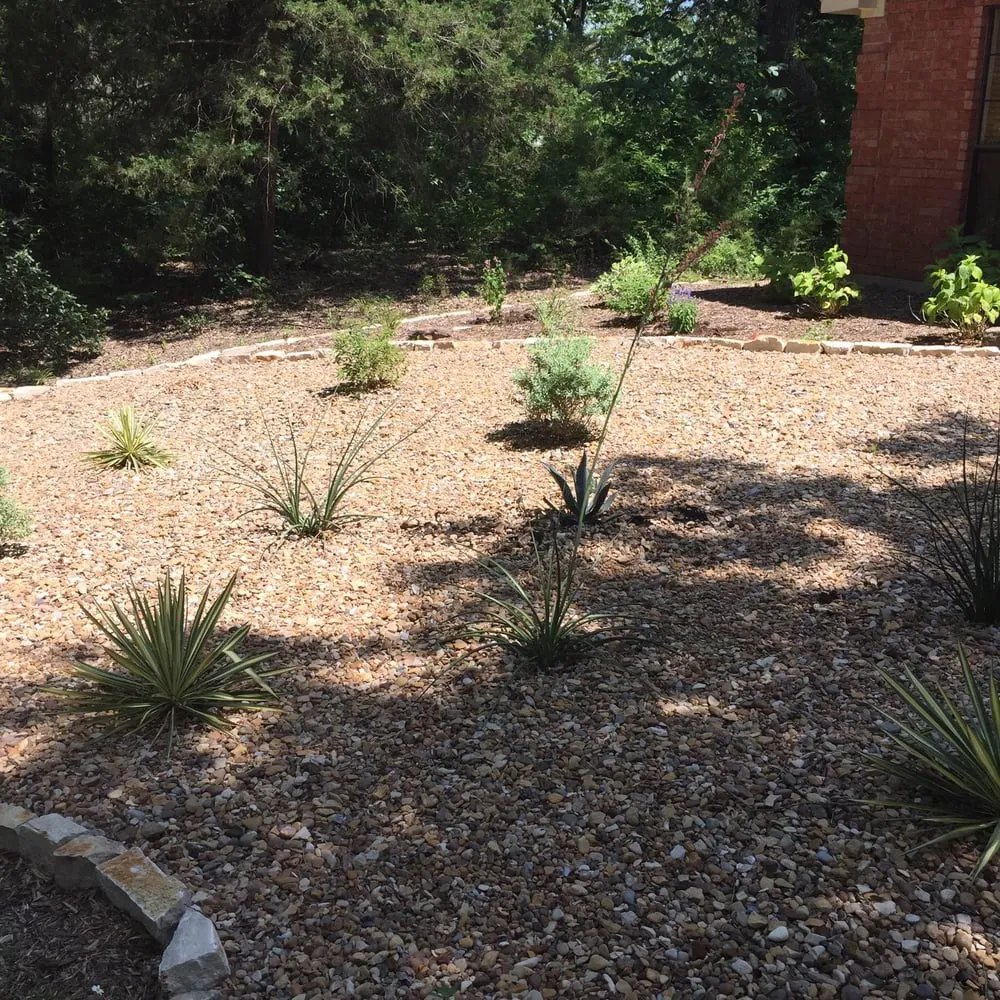 Top-rated lawn care service in McKinney, TX - Arbor View Landscape Services
