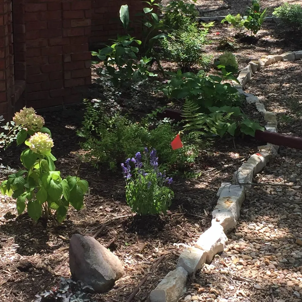 Reliable yard maintenance with custom design across McKinney, TX - Arbor View Landscape Services