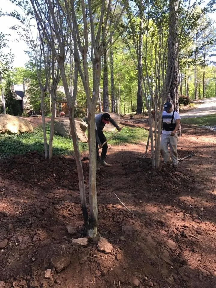 Professional garden landscaping experts serving Madison, GA - Arbor View Landscaping