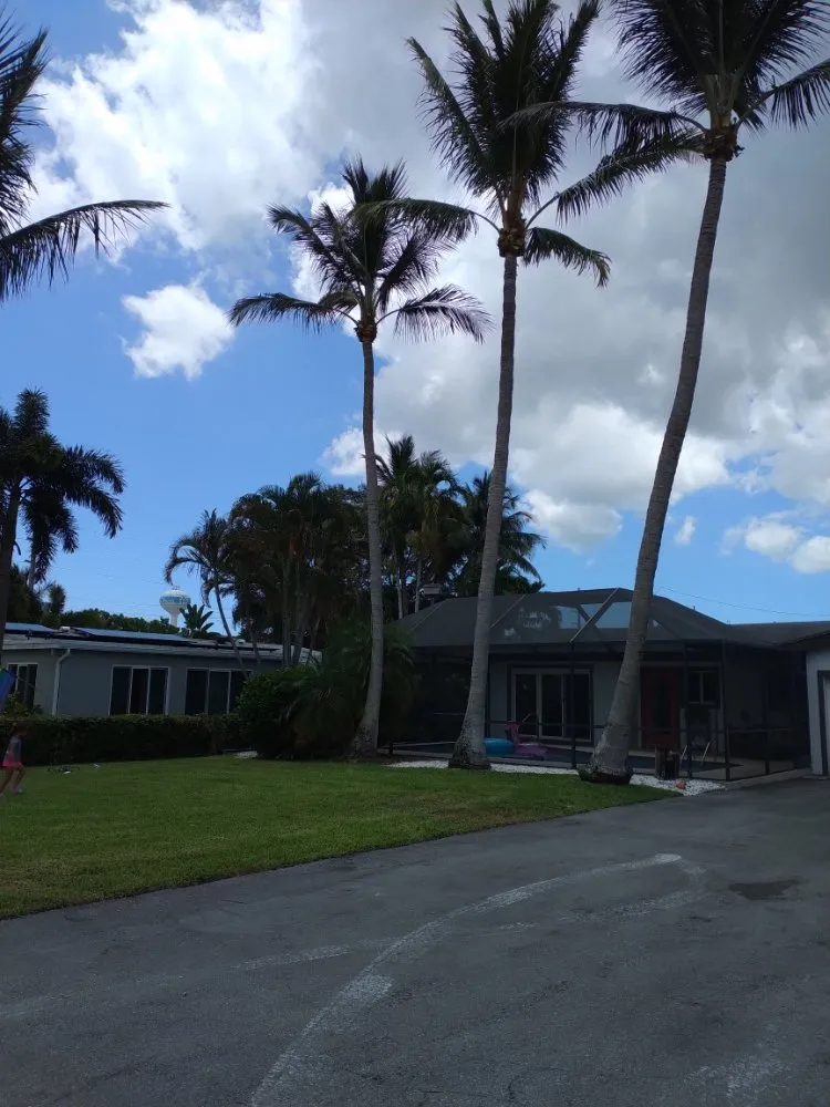 Local outdoor landscaping with custom design across Deerfield Beach, FL - Arbor Vision