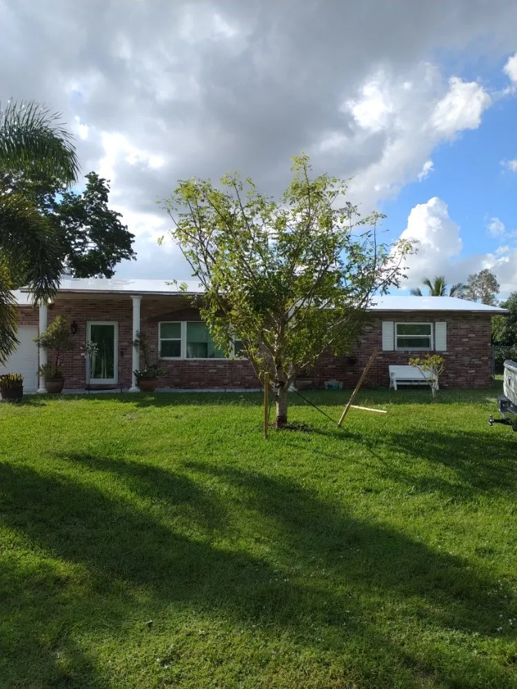 Reliable lawn mowing service for outdoor upgrades in Deerfield Beach, FL by Arbor Vision