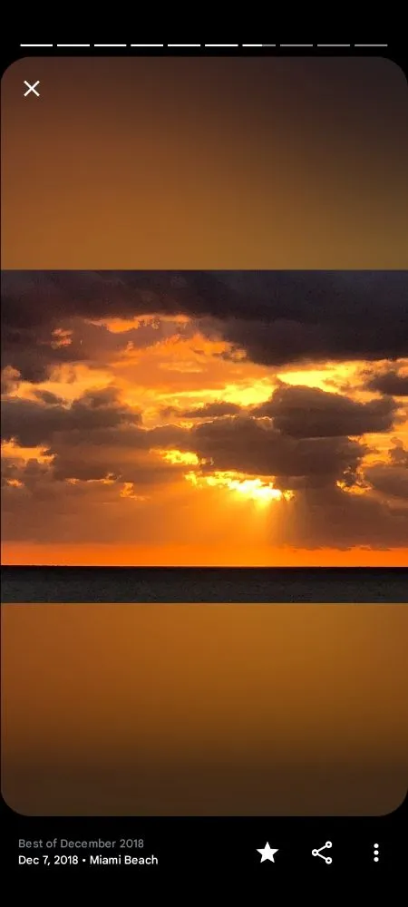 Trusted outdoor landscaping for homes across Deerfield Beach, FL - Arbor Vision