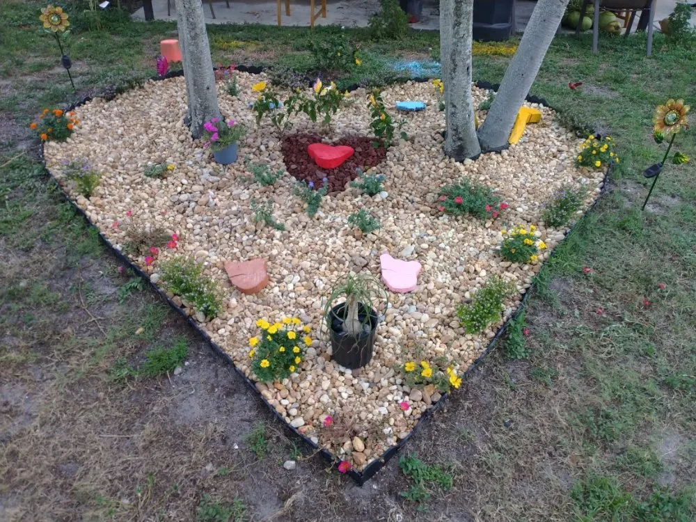 Professional outdoor landscaping in Deerfield Beach, FL by Arbor Vision