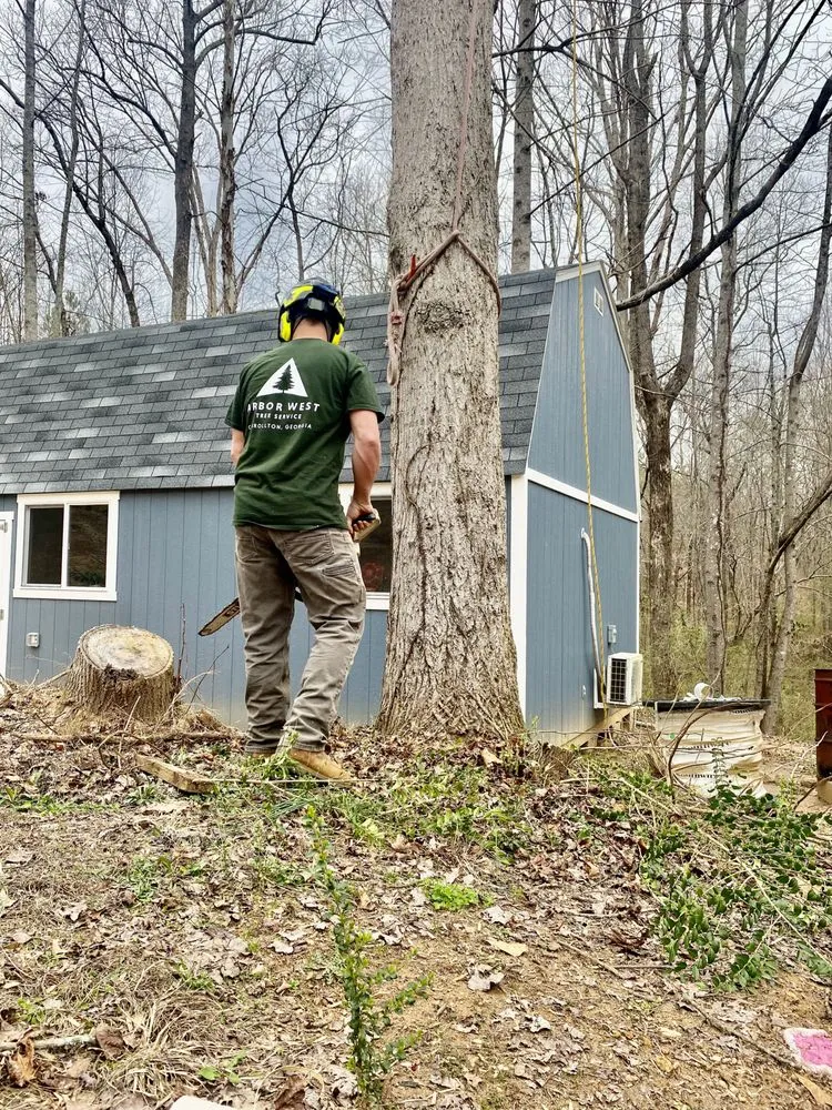 Expert landscaping services for beautiful yards in Carrollton, GA by Arbor West Tree Service