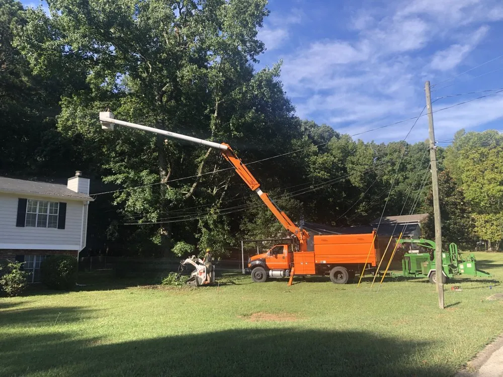 Expert landscape design with custom design in Carrollton, GA by Arbor West Tree Service