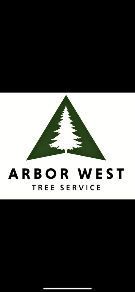 Reliable yard cleanup service experts serving Carrollton, GA - Arbor West Tree Service