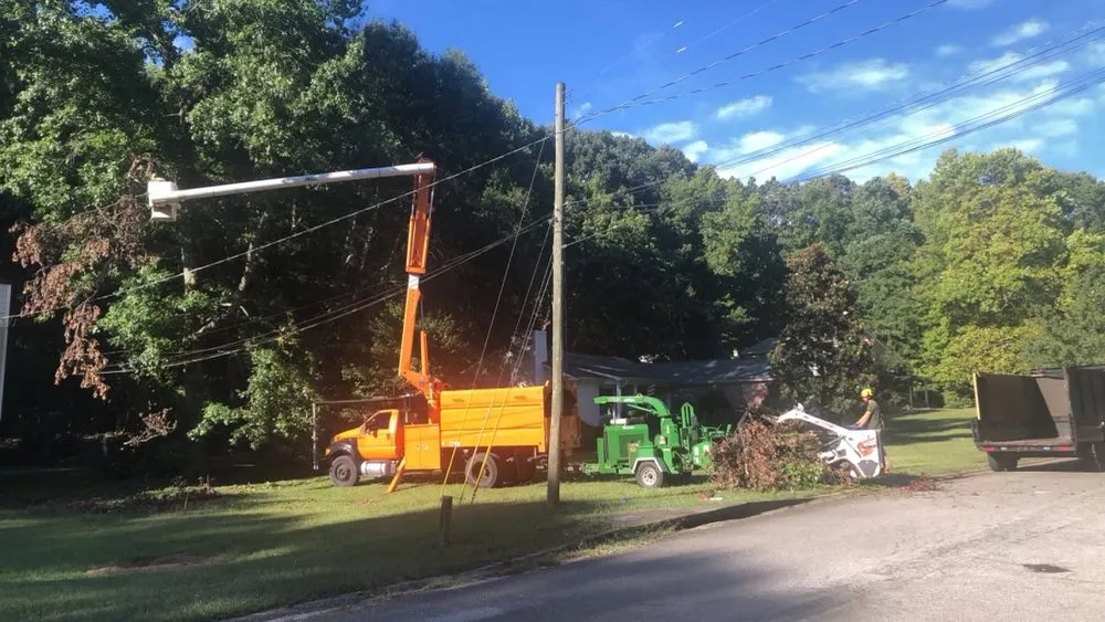 Custom yard maintenance in Carrollton, GA - Arbor West Tree Service