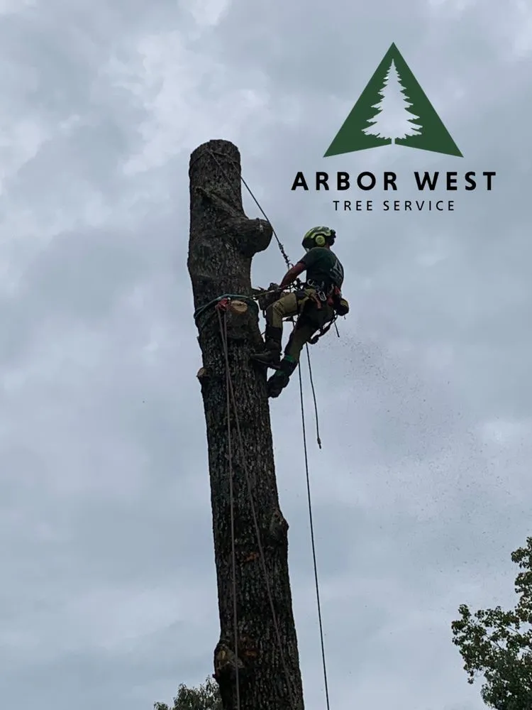 Local garden landscaping near you in Carrollton, GA by Arbor West Tree Service