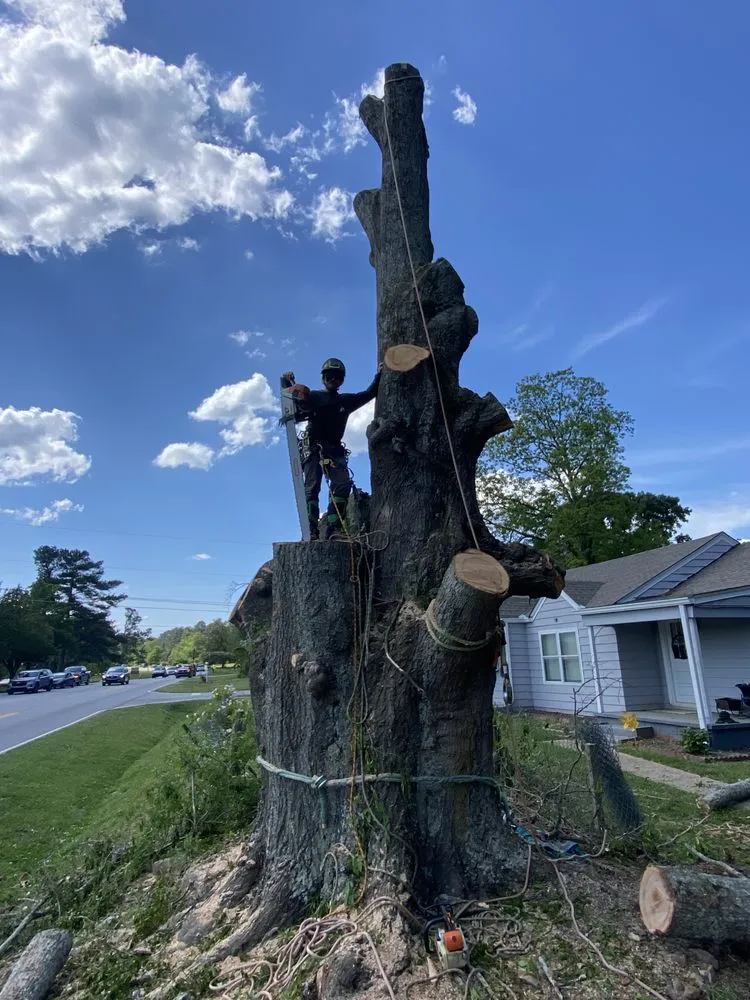 Top-rated residential landscaping experts serving Carrollton, GA - Arbor West Tree Service